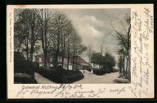AK Haffkrug, Ortsansicht mit Strassenpartie