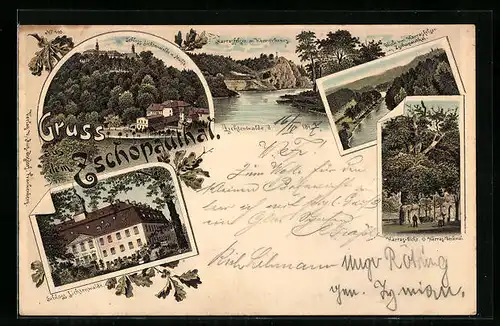 Lithographie Lichtenwalde, Schloss Lichtenwalde mit Mühle, Harras-Eiche