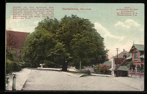 AK Bordesholm, Ortspartie mit der alten Linde