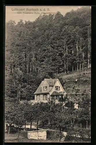 AK Auerbach a. d. B., Villa Friedrich`s Ruhe (Hochstädtertal)