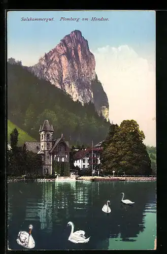 AK Plomberg am Mondsee, Villen am Ufer