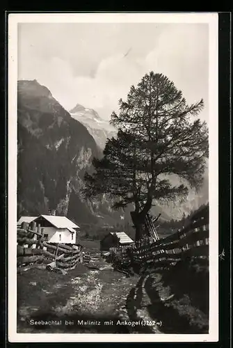 AK Mallnitz, Gehöft im Seebachtal mit Ankogel