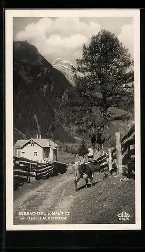 AK Mallnitz, Gasthof Alpenrose im Seebachtal