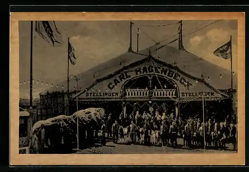 AK Hamburg-Stellingen, Elefanten vor dem Zirkus Carl Hagenbeck