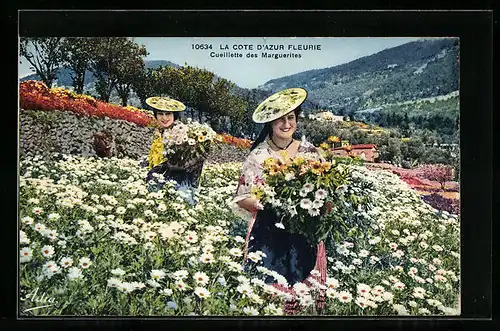 AK Cote-D`Azur, Cueillette des Marguerites