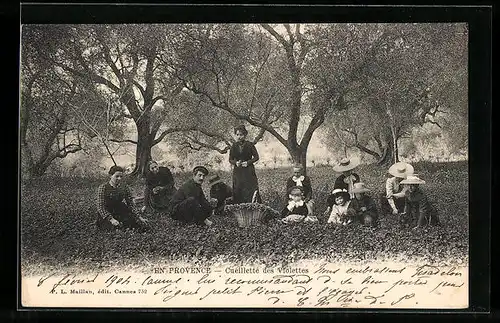 AK Veilchenpflückerinnen in der Provence