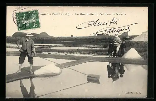 AK La Cueillette du Sel dans le Marais