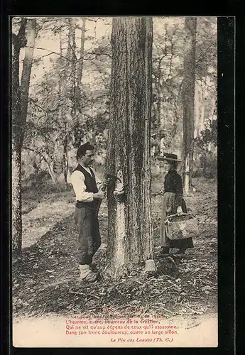 AK Landes, Résinier, Car pour lui dérober ses larmes de résine..., Mann sammelt Harz, Forstwirtschaft