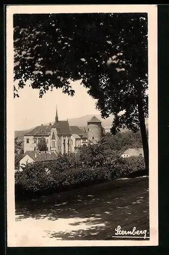 AK Sternberg, Ortspartie mit Schloss und Baum