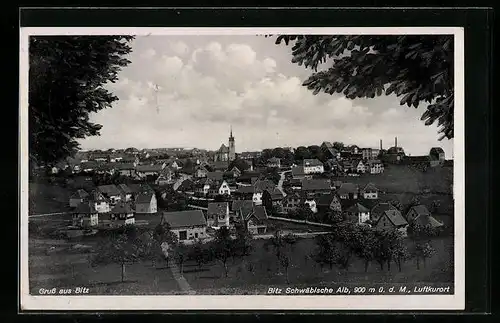 AK Bitz, Ortsansicht mit Umland