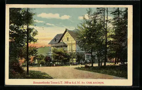 AK Tenne i./T., Strassenpartie mit Blick auf Gasthaus Carl Bachon