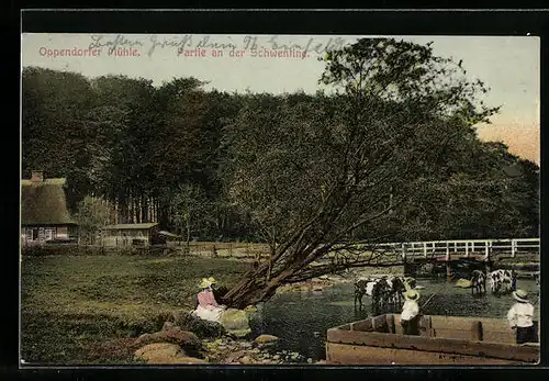 AK Oppendorfer Mühle, Partie an der Schwentine