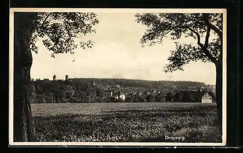 AK Droyssig, Ortspanorama vom Feldrand aus