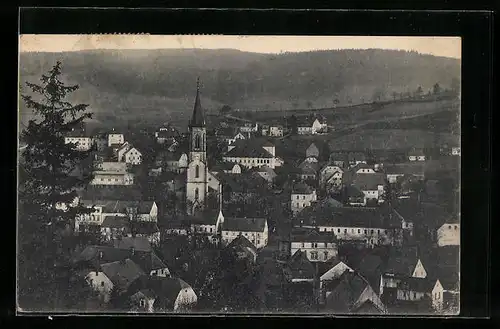 AK Neuhausen i. Sa., Generalansicht der Stadt mit Blick auf die Kirche