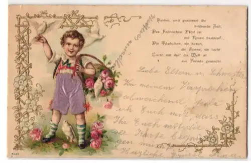 Stoff-Präge-AK Knabe in Hose aus echtem Stoff wird von Tauben umflattert