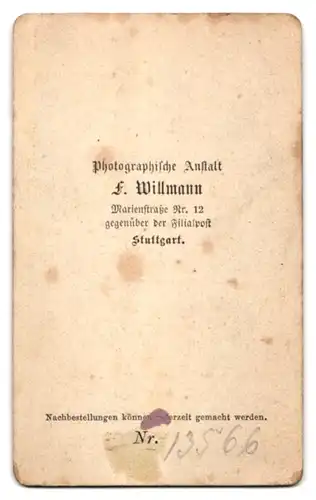 Fotografie F. Willmann, Stuttgart, Marienstrasse 12, Junge Dame im modischen Kleid