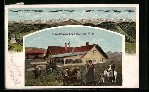AK Schletteralm am schwarzen Grat, Ortspartie mit Kuh, Bergpanorama mit Säuling, Nebelhorn und Zugspitze