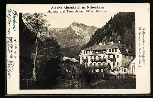 AK Mallnitz a.d. Tauernbahn, Alber`s Alpenhotel mit Nebenhaus