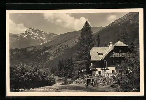 AK Mallnitz, Alpengasthof Gutenbrunn mit Bergpanorama