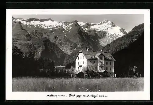 AK Mallnitz, Blick gegen den Ankogel
