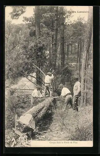 AK Landes, Types Landais, Coupe dans la Forêt de Pins, Forstwirtschaft