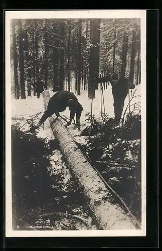 AK Forstarbeiter zersägen einen Baum im Schnee