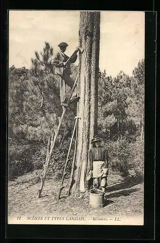 AK Landes, Scènes et Types Landais, Résiniers, Forstwirtschaft