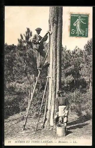 AK Landes, Scênes et Types Landais, Résiniers, Forstwirtschaft