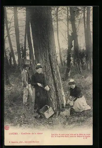 AK Landes, Cueillette de la résine, Forstwirtschaft
