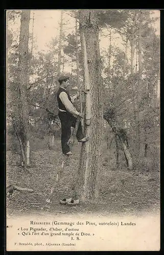 AK Landes, Résiniers, Gemmage des Pins autrefois, Forstwirtschaft