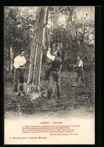 AK Landes, Résiniers, Arbeiter sammeln Harz, Forstwirtschaft