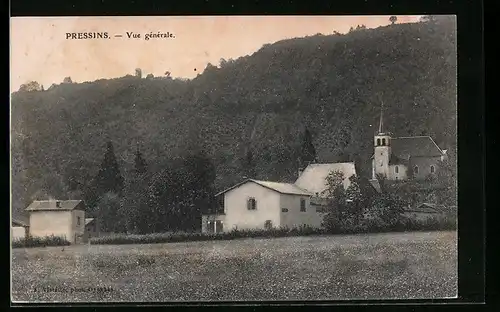 AK Pressins, Vue générale