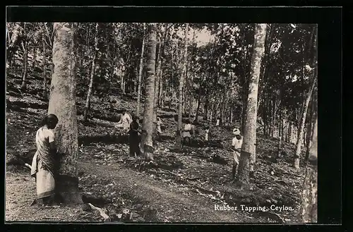 AK Ceylon, Rubber Tapping