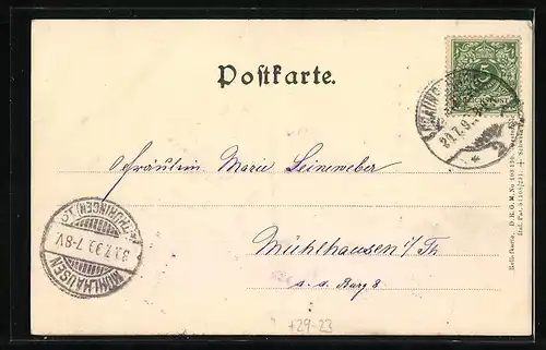 Relief-AK Braunschweig, Burgplatz mit Löwendenkmal