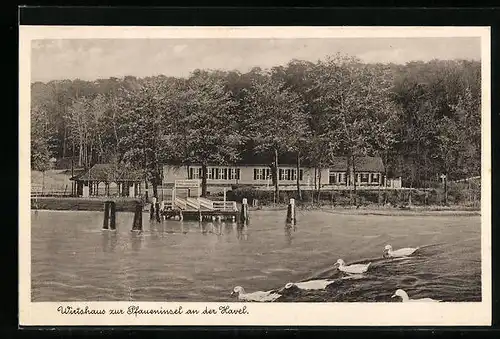 AK Berlin-Wannsee, Wirtshaus zur Pfaueninsel an der Havel