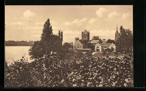 AK Eltville im Rheingau, Blick auf die Burg Crass
