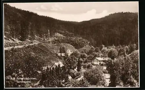 AK Bad Reinerz, Schmelzetal mit Häusern und Strasse