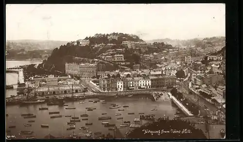 AK Torquay, General View from Dane Hill