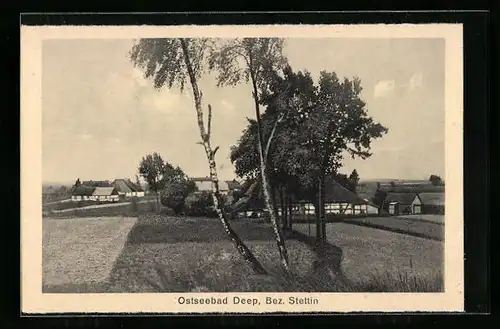 AK Deep /Bez. Stettin, Ortsansicht mit Reetgedeckten Häusern