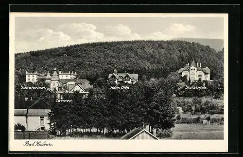 AK Bad Kudowa, Ortsansicht mit Sanatorium, Carmen, Haus Otto und Stolzenfels