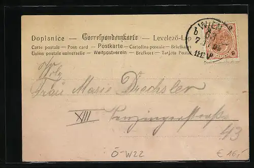 AK Wien-Stadlau, Joh. Strobls Restauration, Ruderpartie