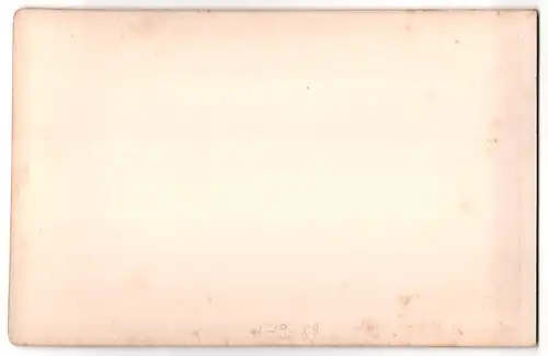 Fotografie Schmidt & Wegener, Ansicht Kiel, vor Anker liegende Schiffe im Handelshafen