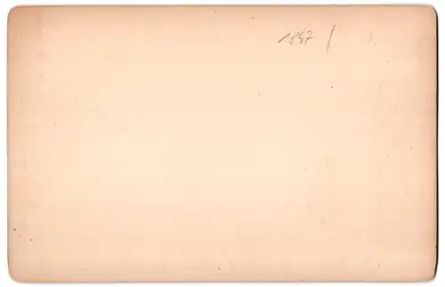 Fotografie Stengel & Co., Dresden, Ansicht Köln a. Rh., Blick auf die Festhalle Gürzenich