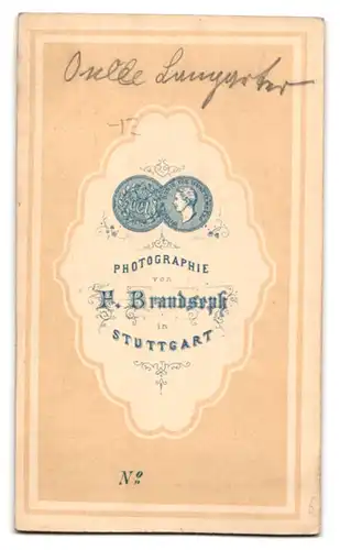 Fotografie F. Brandseph, Stuttgart, Charmanter Herr im Anzug mit Fliege