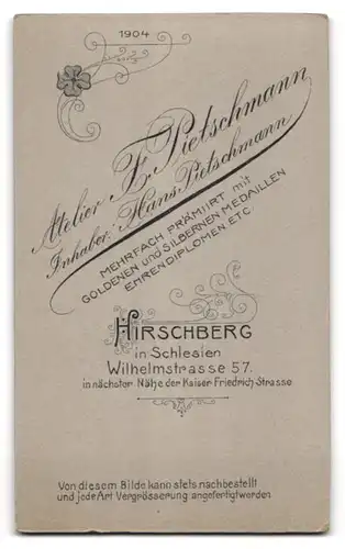 Fotografie F. Pietschmann, Hirschberg in Schlesien, Wilhelmstr. 57, Junge Dame mit Hochsteckfrisur