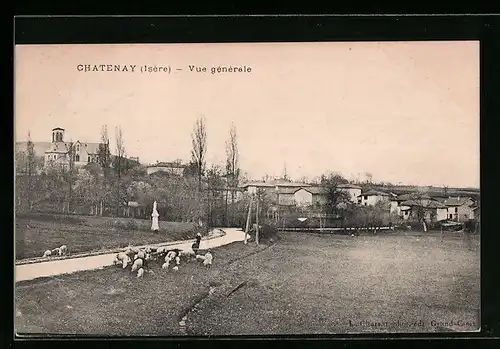 AK Chatenay, Vue générale