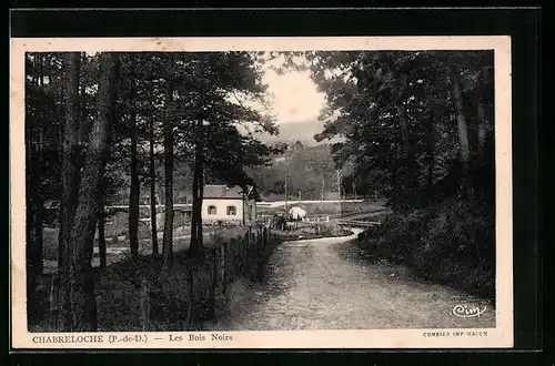 AK Chabreloche, Les Bois Noirs