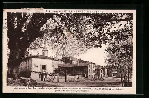 AK Le Vernet-la-Varenne, Vieil ormeau dans les branches duquel existe encore une meule sur laquelle, jadis...