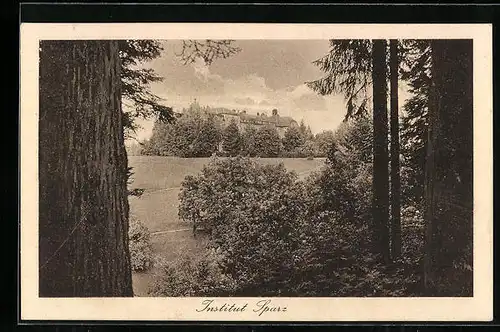 AK Traunstein, Institut Sparz