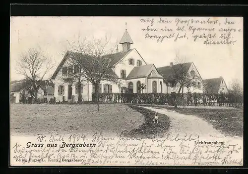 AK Bergzabern, Hund am Weg zu Liebfrauenberg